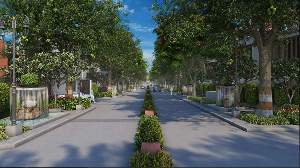 Project Image 6