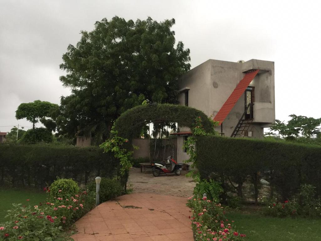 Image 11
