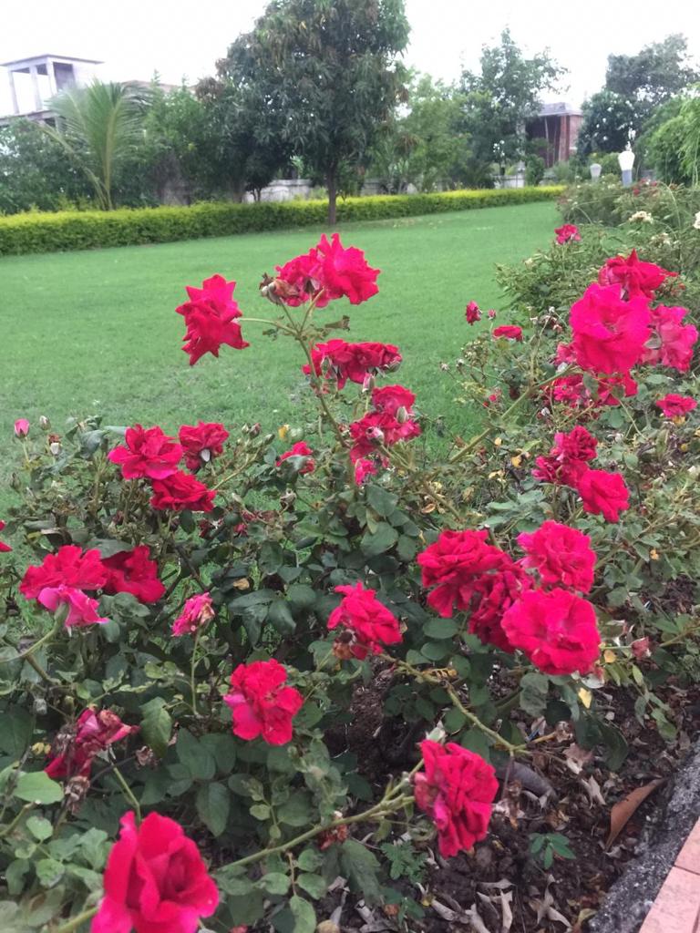 Image 17